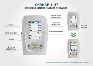 СКЭНАР-1-НТ (исполнение 02.2) Скэнар Оптима в Шатуре купить Медицинский интернет магазин - denaskardio.ru 